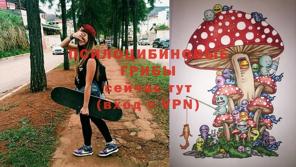 синтетический гашиш Покачи